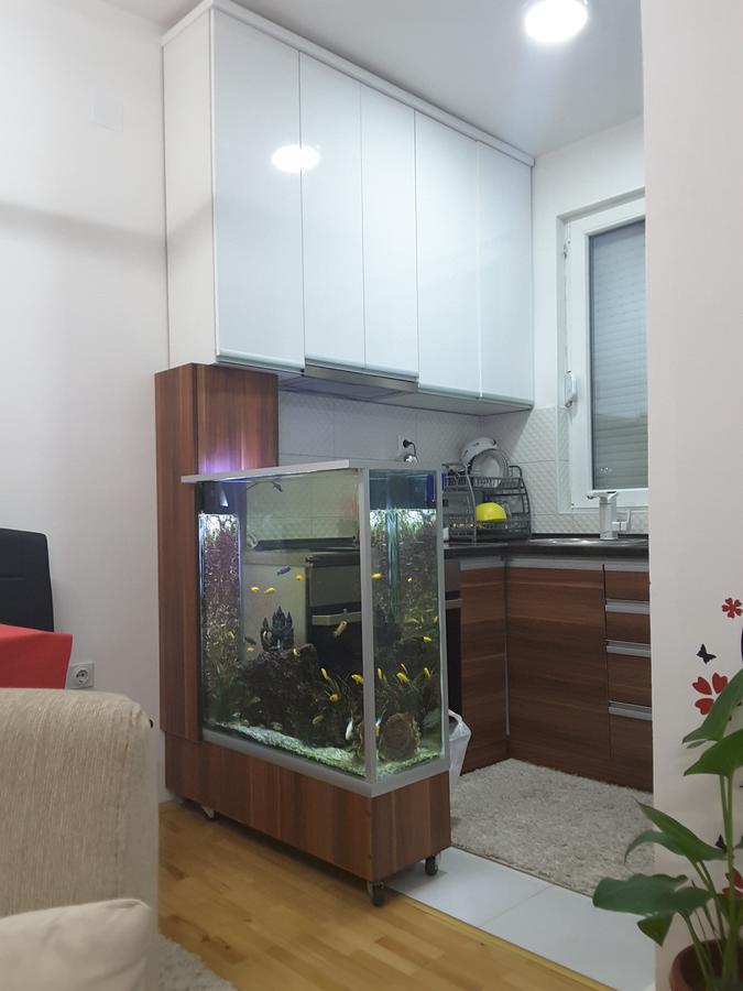 ולס Apartment מראה חיצוני תמונה